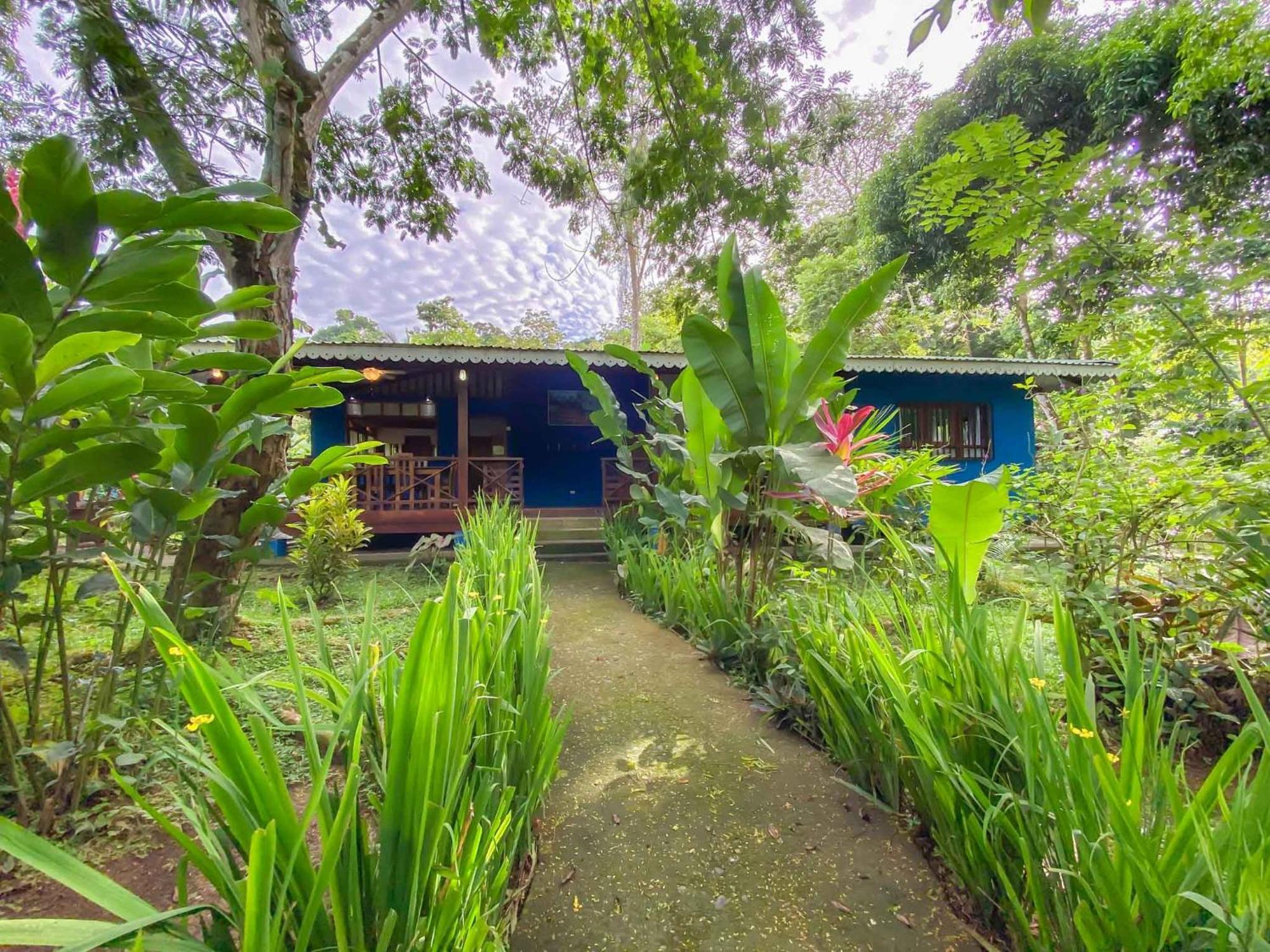 Hotel Casitas Mar Y Luz Puerto Viejo de Talamanca Pokoj fotografie