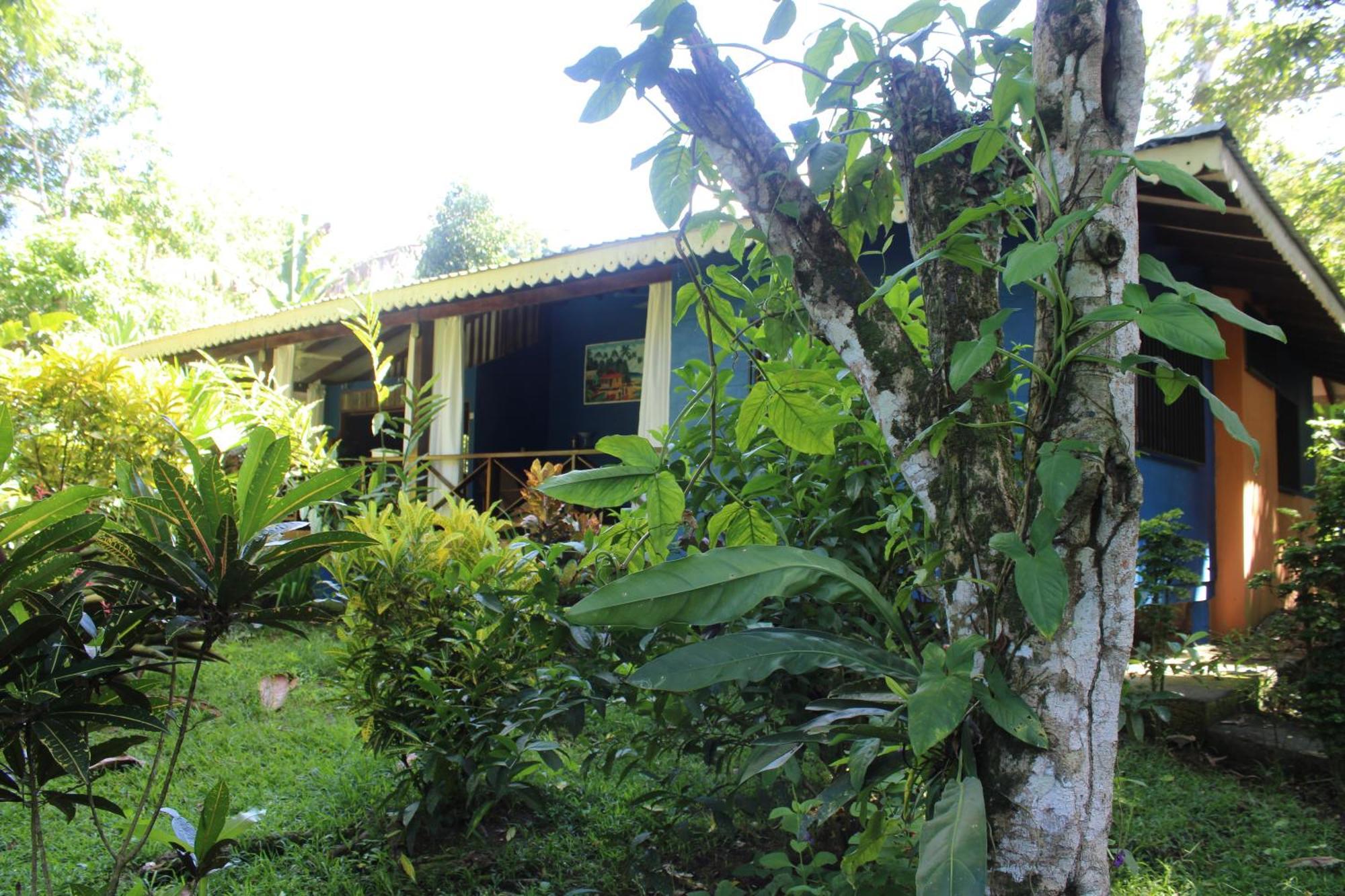 Hotel Casitas Mar Y Luz Puerto Viejo de Talamanca Exteriér fotografie