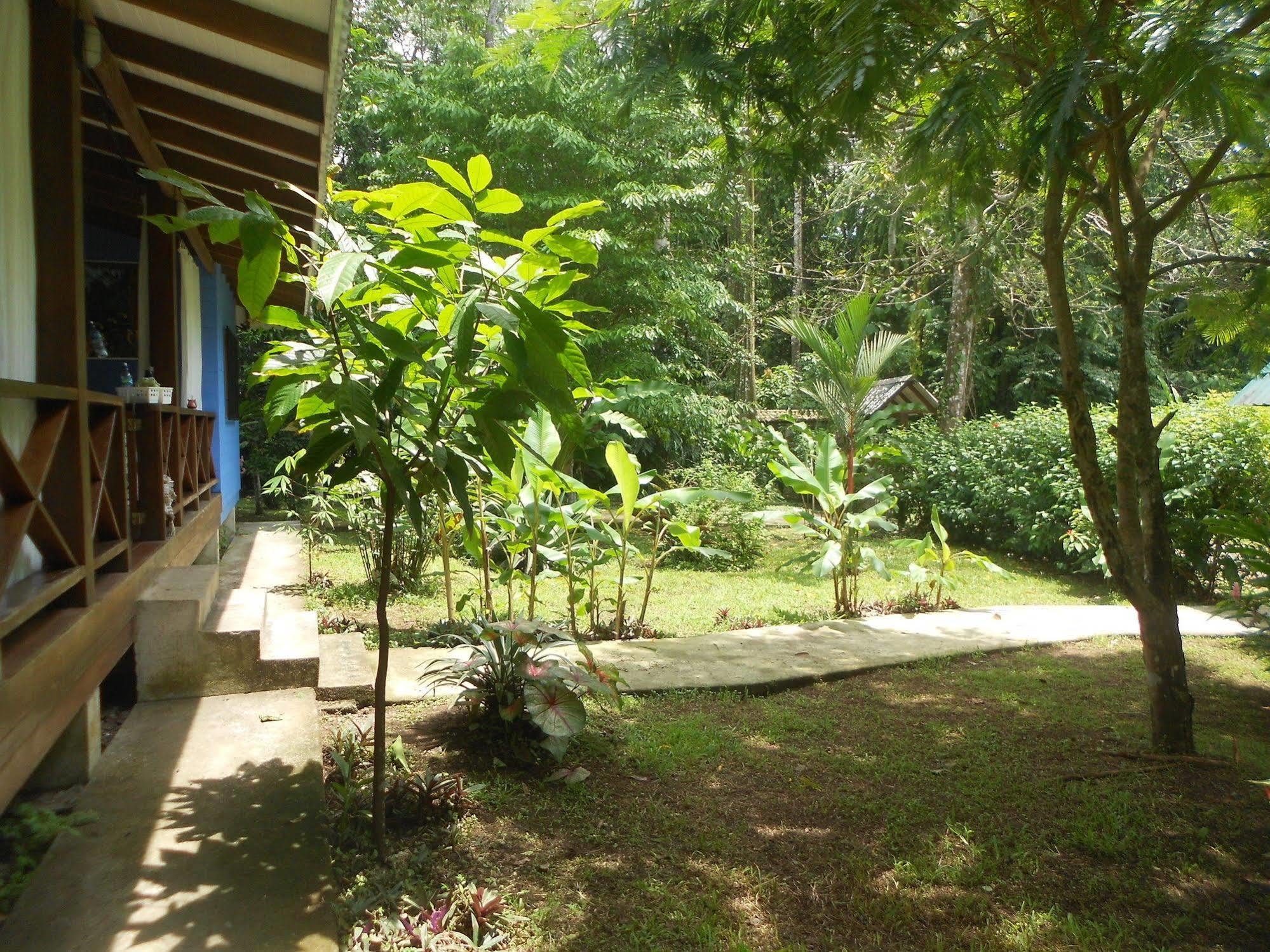 Hotel Casitas Mar Y Luz Puerto Viejo de Talamanca Exteriér fotografie